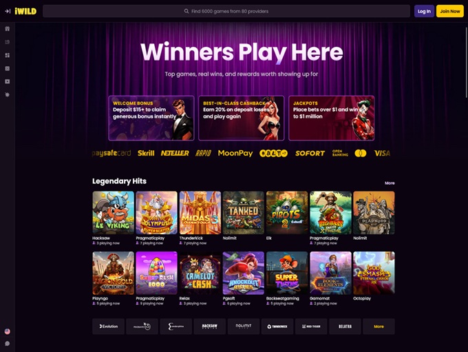 iWild Casino