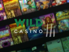 exciting-sunday-on-wild-casino-with-exclusive-prizes