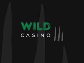 wild-casino-delivers-50-match-up-to-500