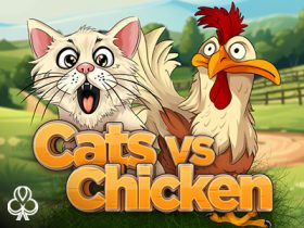 dublinbet-casino-launhces-cats-vs-chicken-royale-promotion