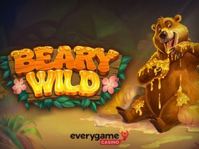 everygame_casino_features_beary_wild_experience